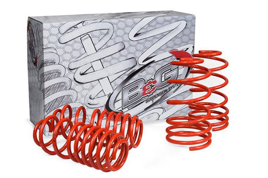 B&G Lowering Springs 1990-1994 VW PASSAT