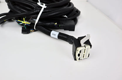2011-2014 Gen 1 Coyote Body Harness for Swaps
